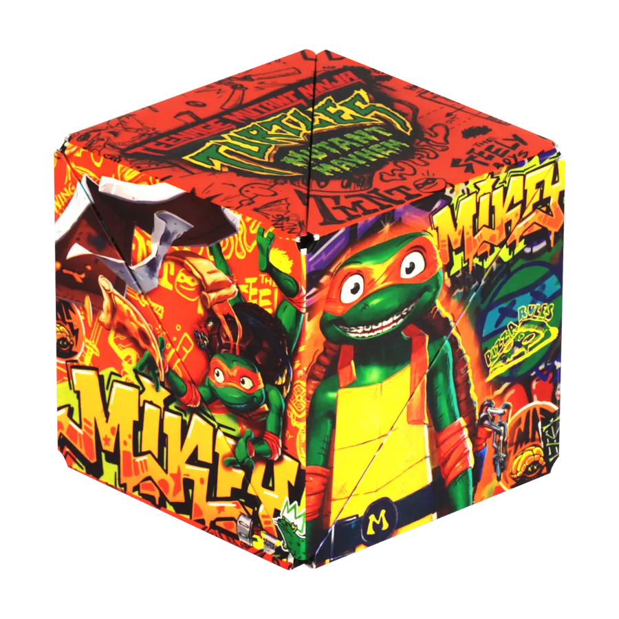TMNT Series - Skill Motion
